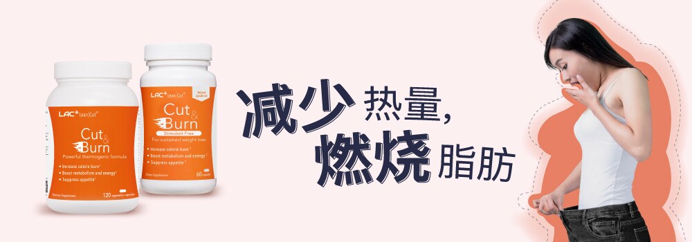 banner_Desktop