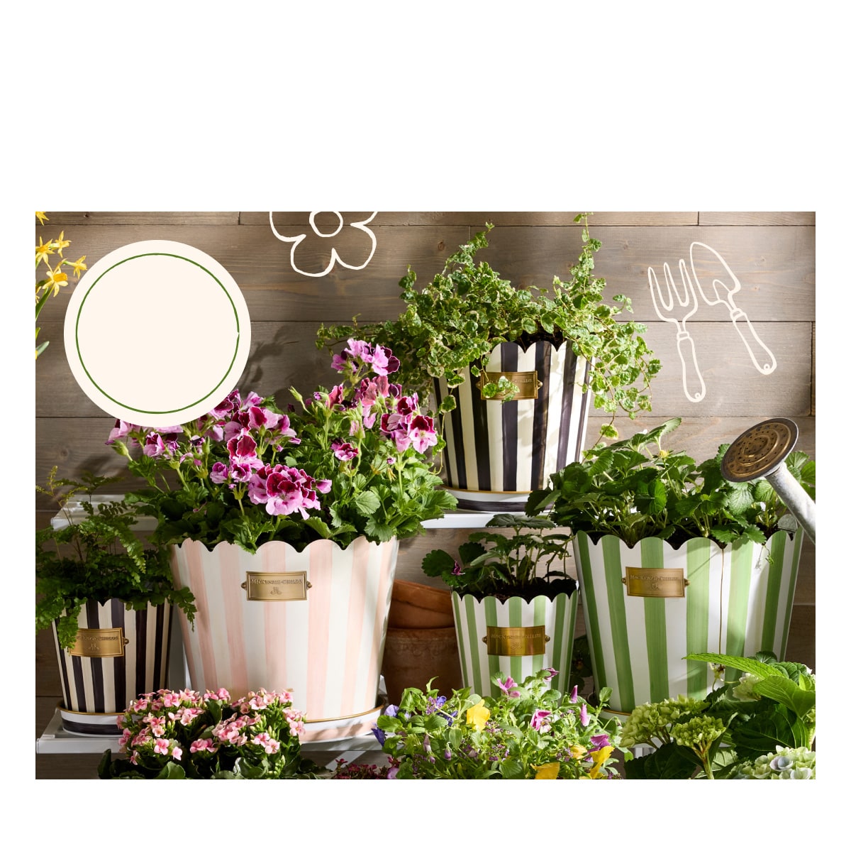 MacKenzie-Childs | Hand-painted ceramics, dinnerware, furniture