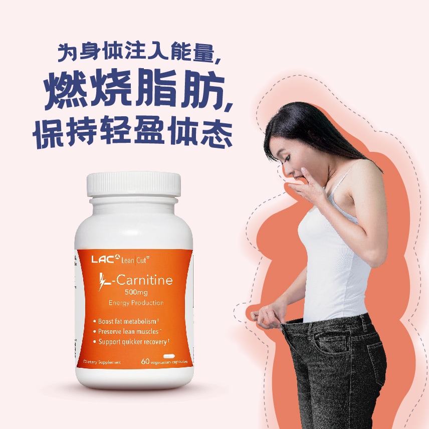 l carnitine 1200 mg Acetyl L-Carnitine
