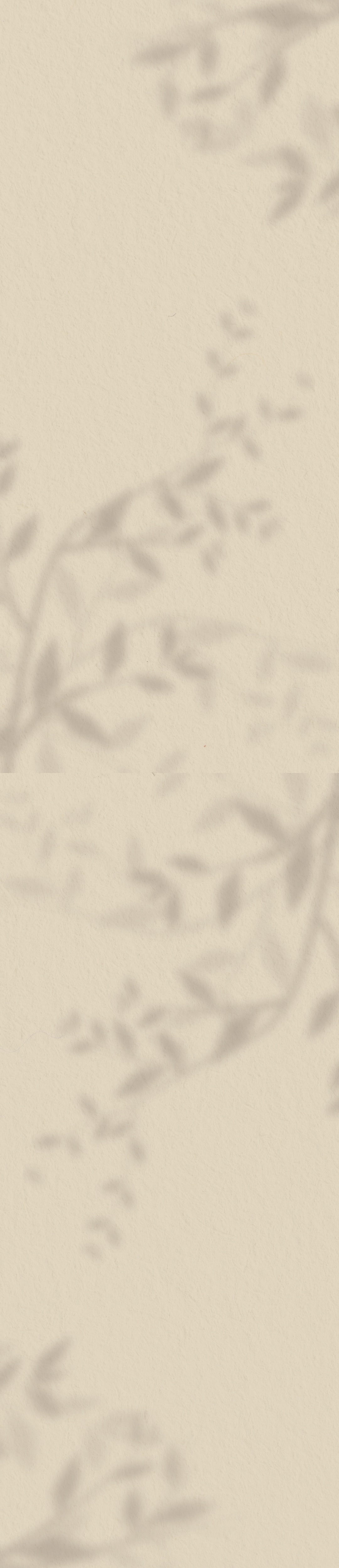 Vertical image of a subtle shadow of foliage on a light background