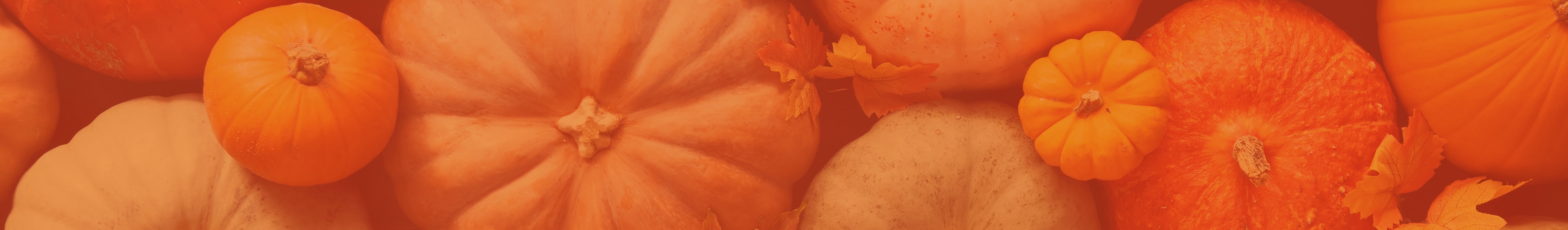 Close-up of various orange pumpkins