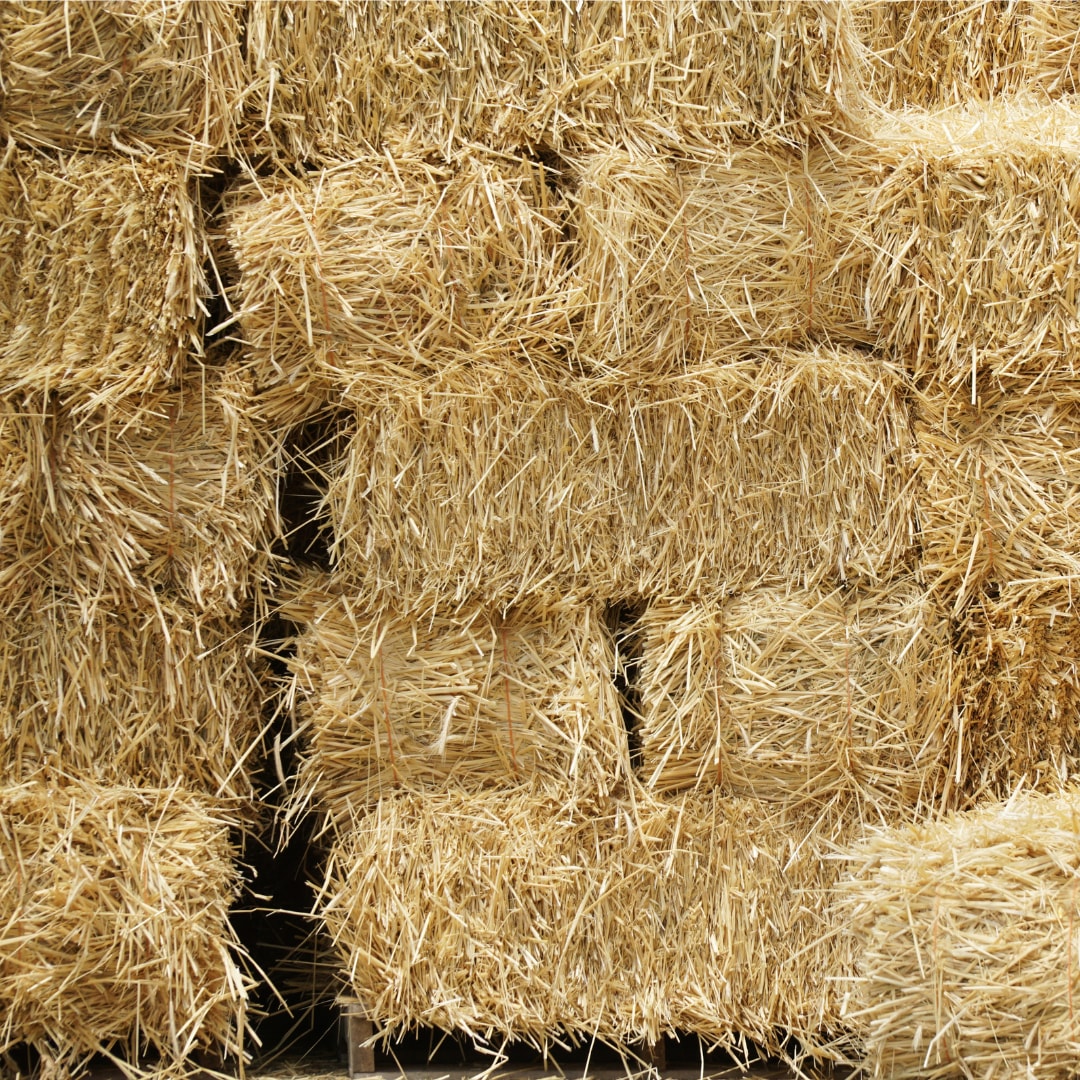 Stacked hay bales in a close-up view