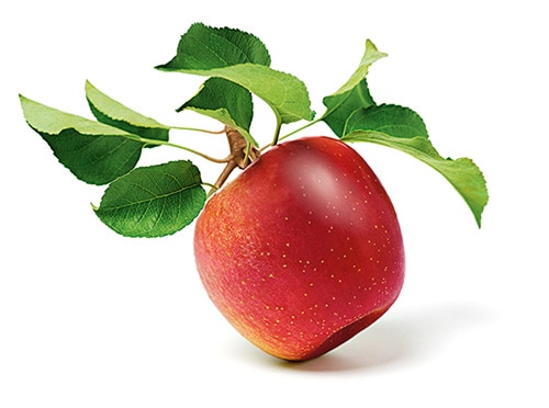 Red apple with leaves on a white background