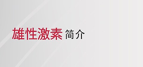 LAC SG Mega Maca Zmags Banner 4 480x22d_V2.jpg