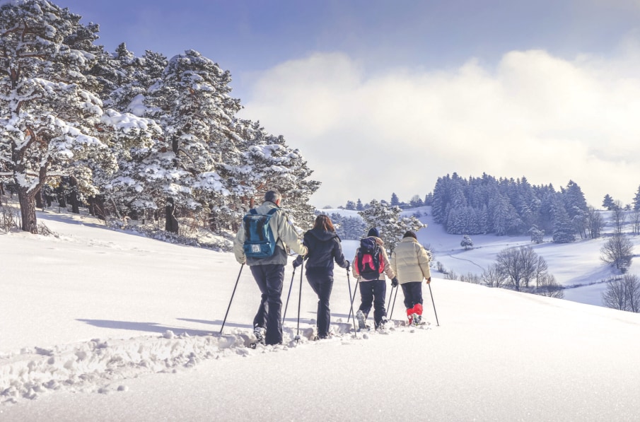 Group hiking through snowy landscape with poles.