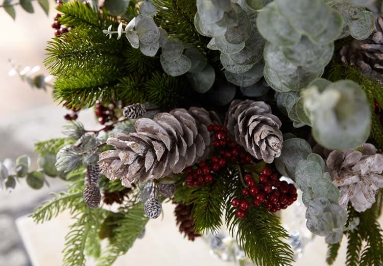 HOL22_EUCALYPTUS_HOLIDAY_MIX_046