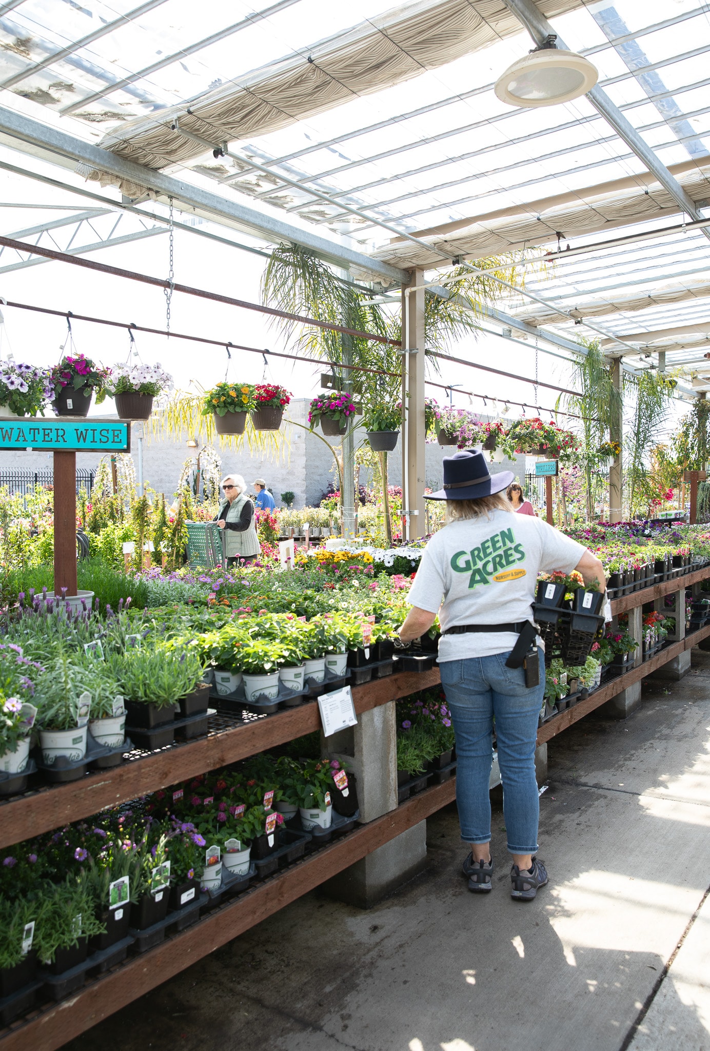 Person tending plants at a sunny garden center with hanging baskets and greenery