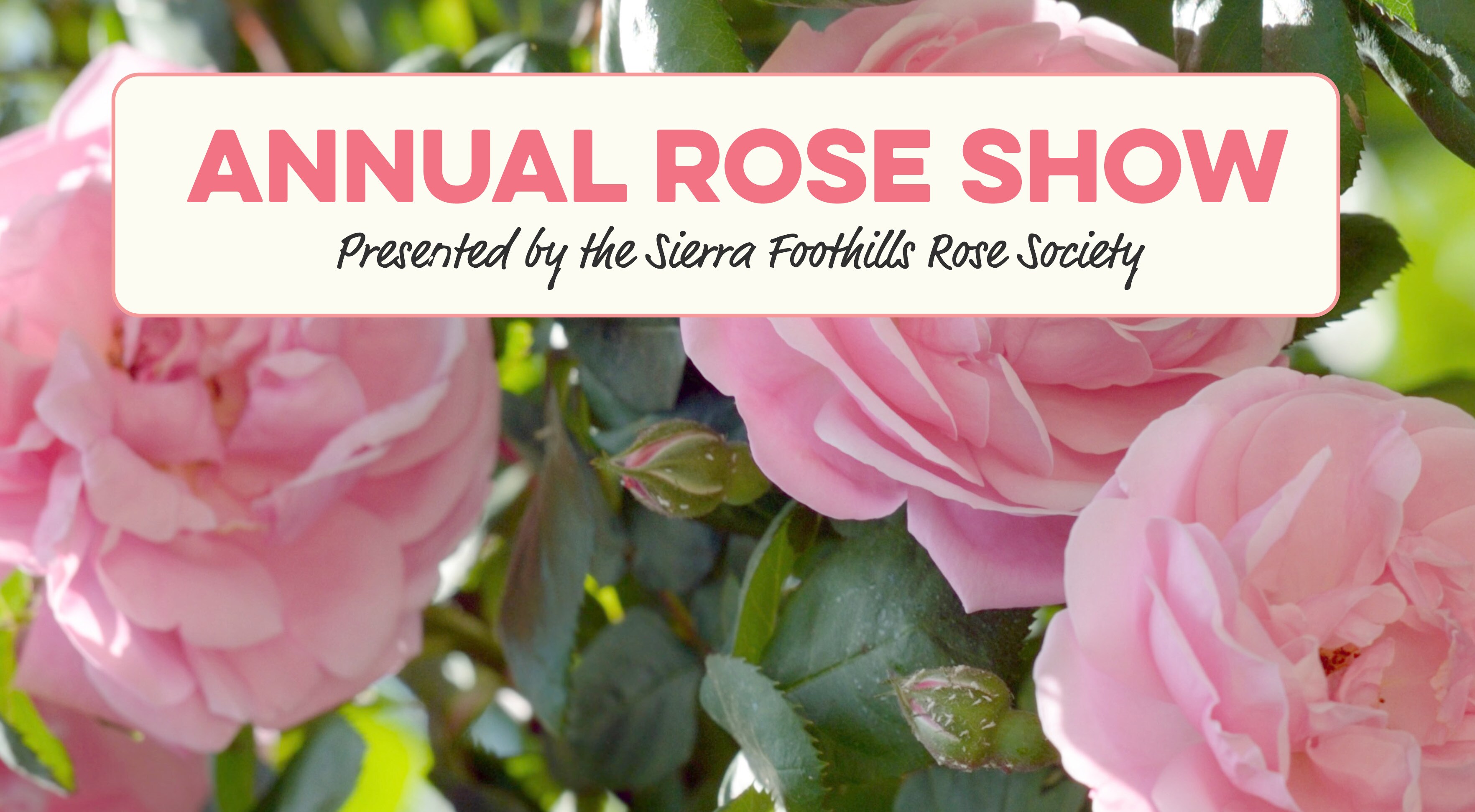 Banner for "Annual Rose Show" with pink roses in the background