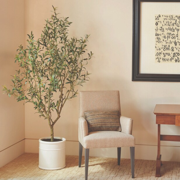 Plante en pot à côté d'une chaise et d'une table dans un intérieur élégant