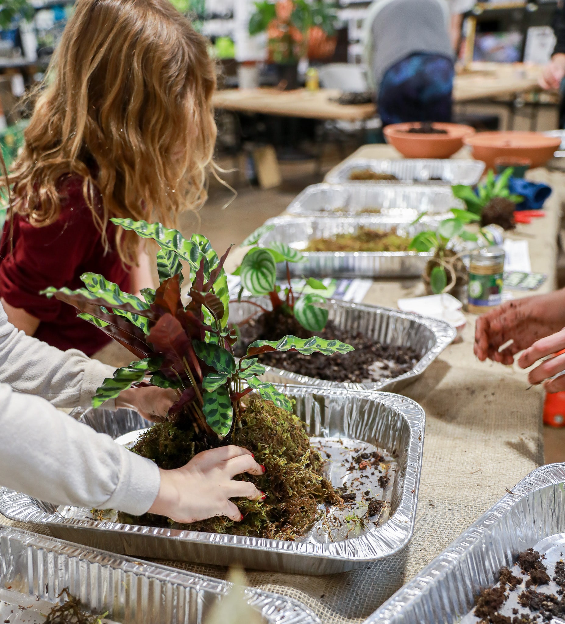 Child planting a sapling in a tray during a gardening class indoors