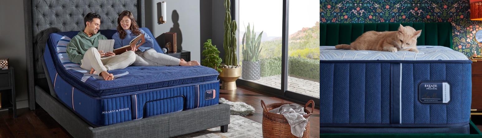 Couple relaxing in a luxurious blue bed; cat enjoying a nap on a matching blue ottoman