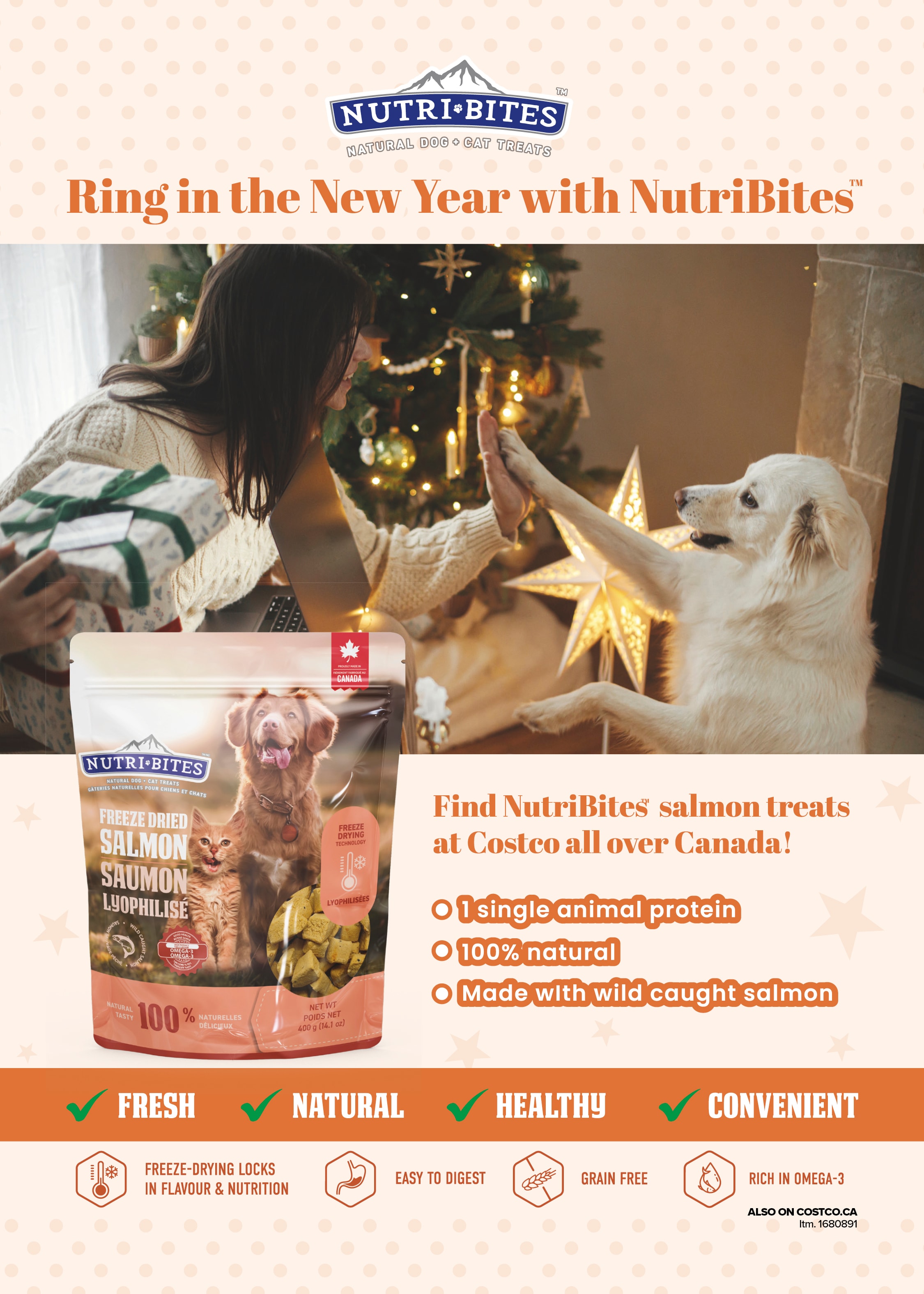 Ad for NutriBites: Woman and dog by Christmas tree with salmon treats, available across Canada