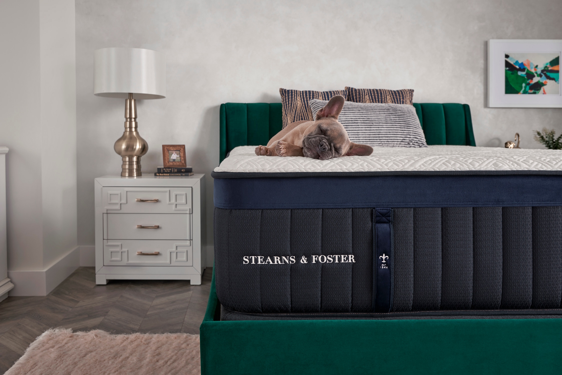 A dog relaxing on a bed in a stylish bedroom