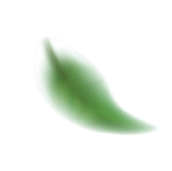Illustration of a single green leaf with a smooth texture