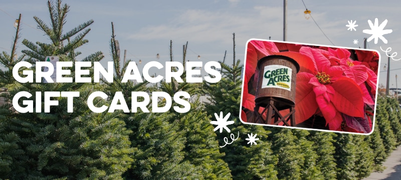 Advertisement for Green Acres Gift Cards with Christmas trees and a red mailbox stuffed with gifts