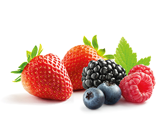 Fraises, mûres, framboises et myrtilles sur fond blanc