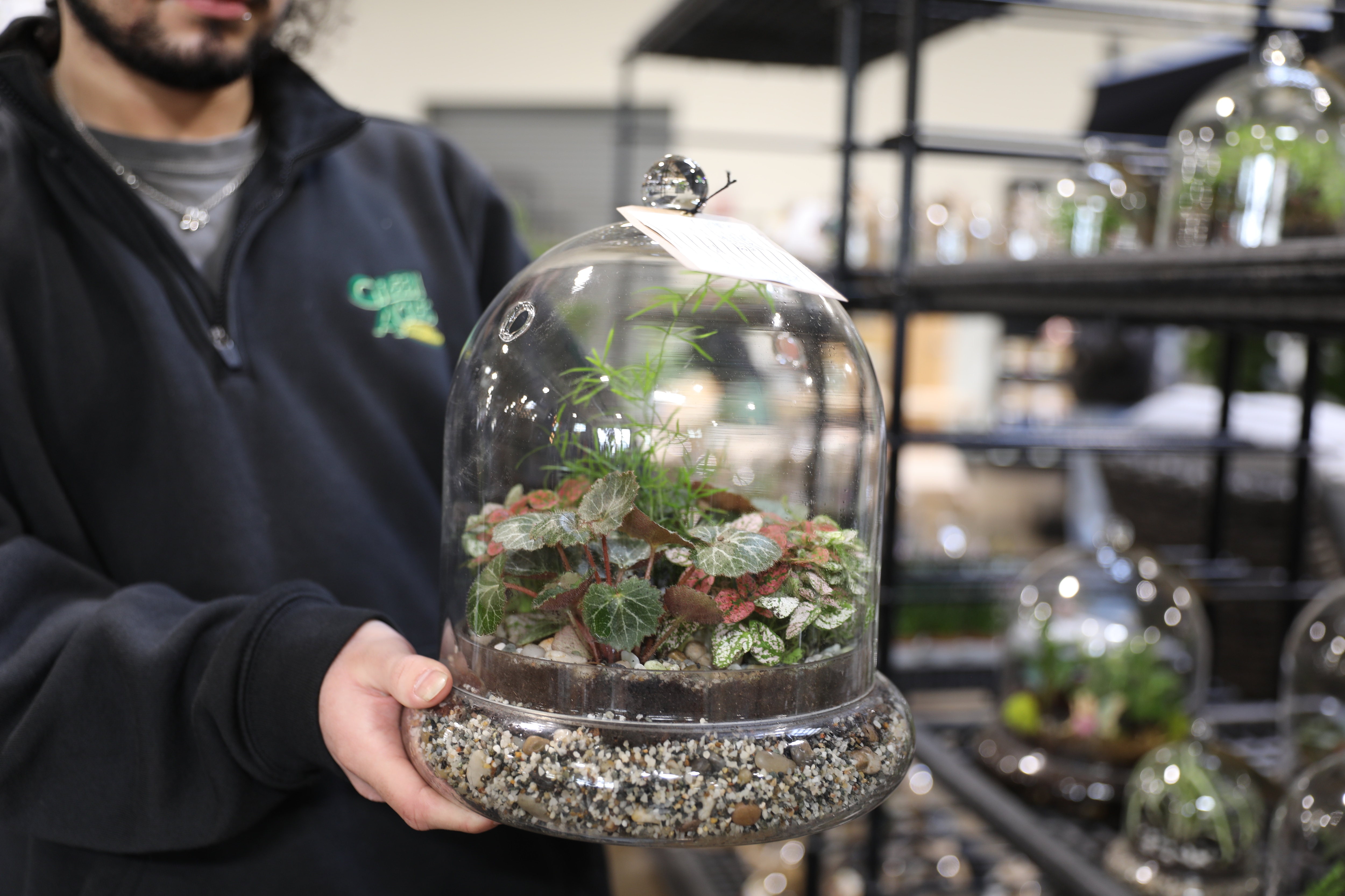 Man holding a terrarium with plants under a glass dome in a store
