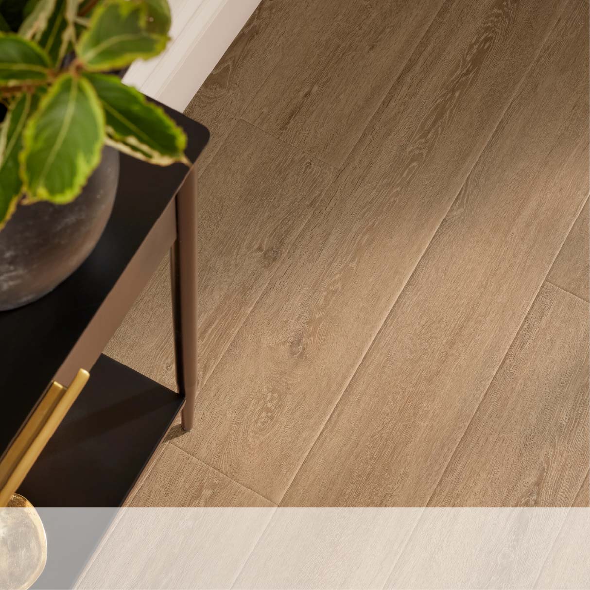 Partial view of a modern room corner with wooden flooring and a plant on a black side table