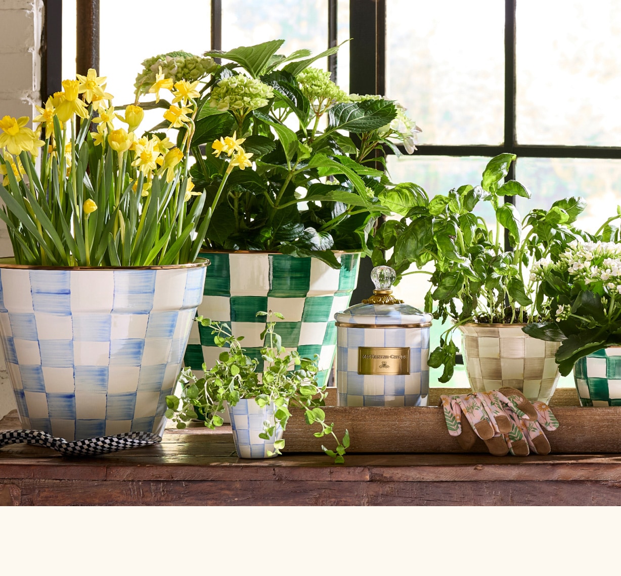 MacKenzie-Childs | Hand-painted ceramics, dinnerware, furniture