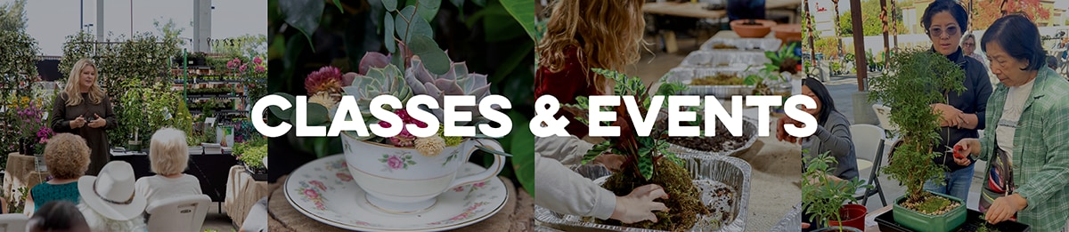 Banner reading 'CLASSES & EVENTS' with images of gardening, pottery, and a cooking class