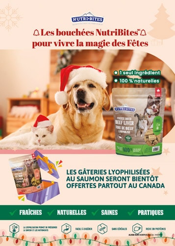 Ad - Canature Dog Treats