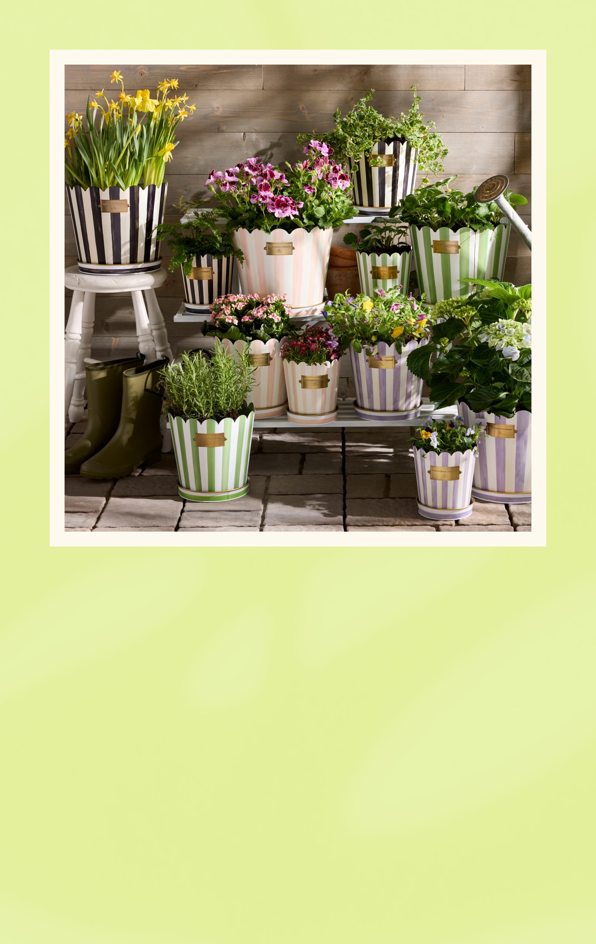 Pots & Planters | Outdoor | MacKenzie-Childs
