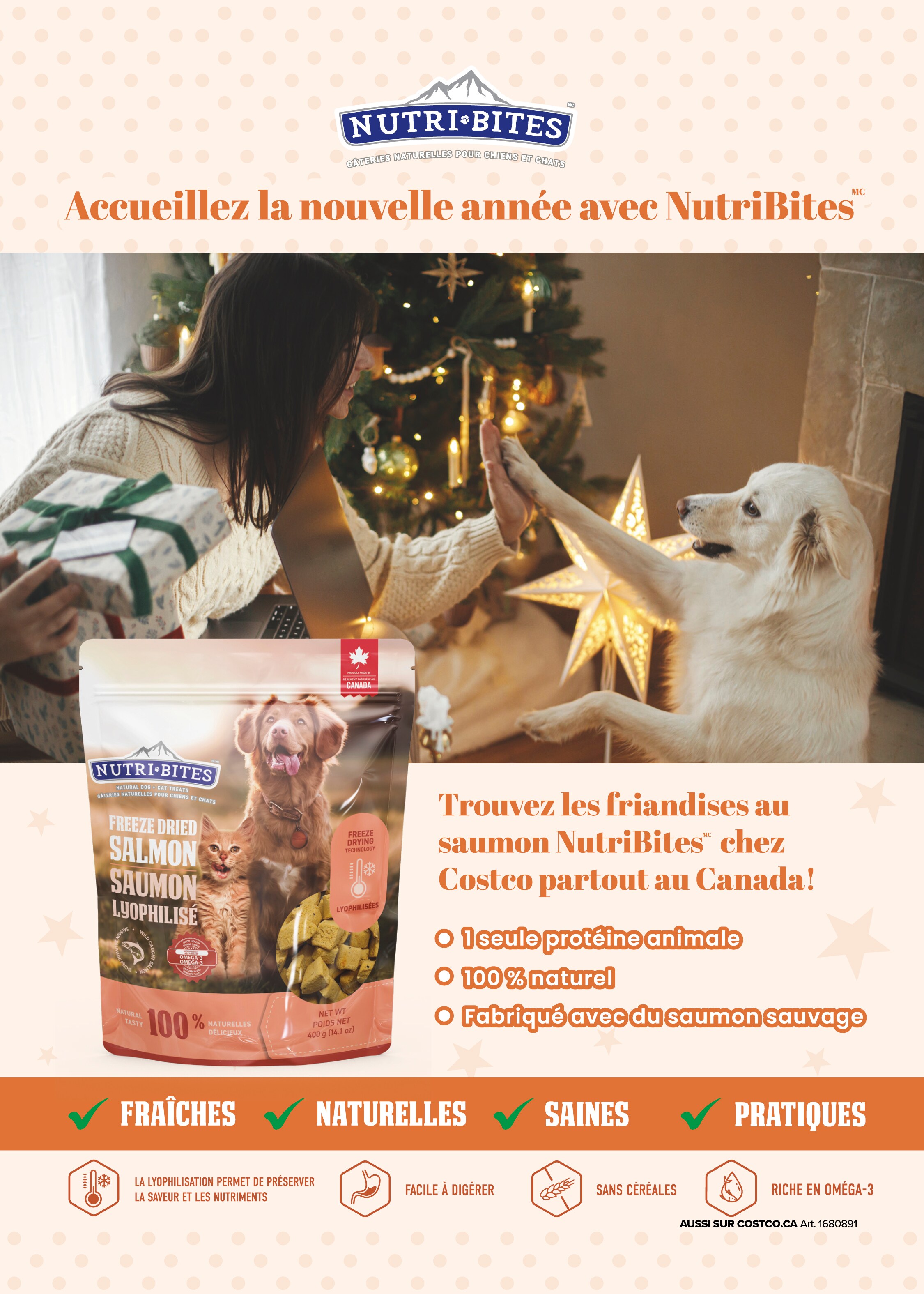 Publicité pour friandises pour chiens NutriBites avec une femme et un chien près d’un arbre de Noël