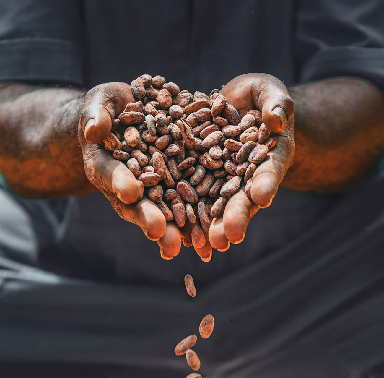 Person holding a heart-shaped pile of coffee beans with some falling down