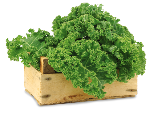 Chou frisé frais dans une caisse en bois