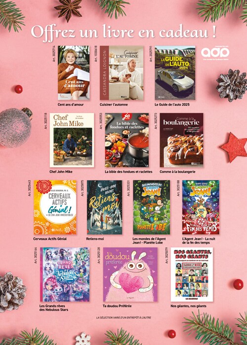 Ad - Guide cadeaux de livres pour les fêtes avec divers titres