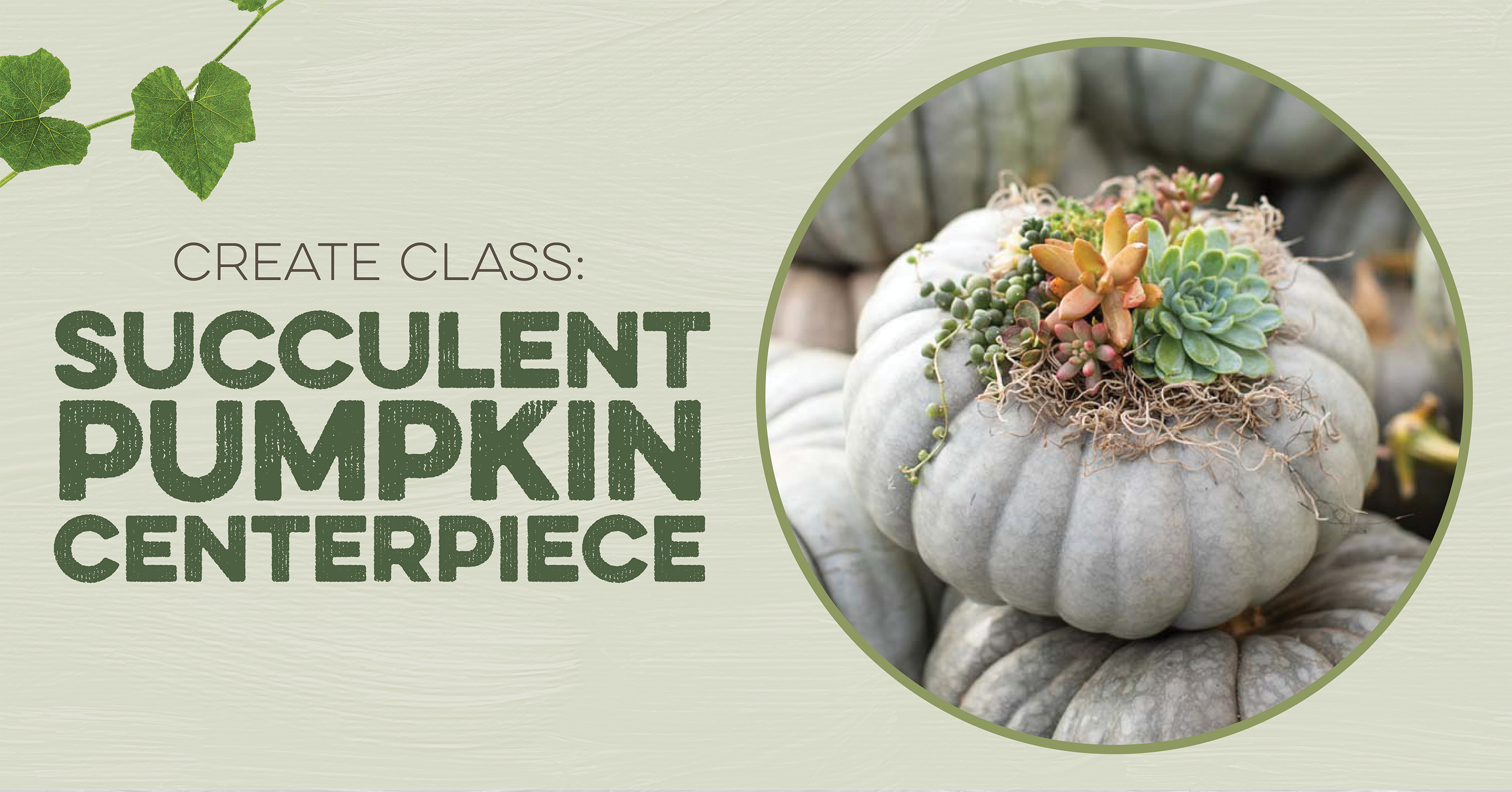 Promotional image for a class on creating a succulent pumpkin centerpiece