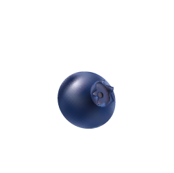 Single blueberry isolated on a white background