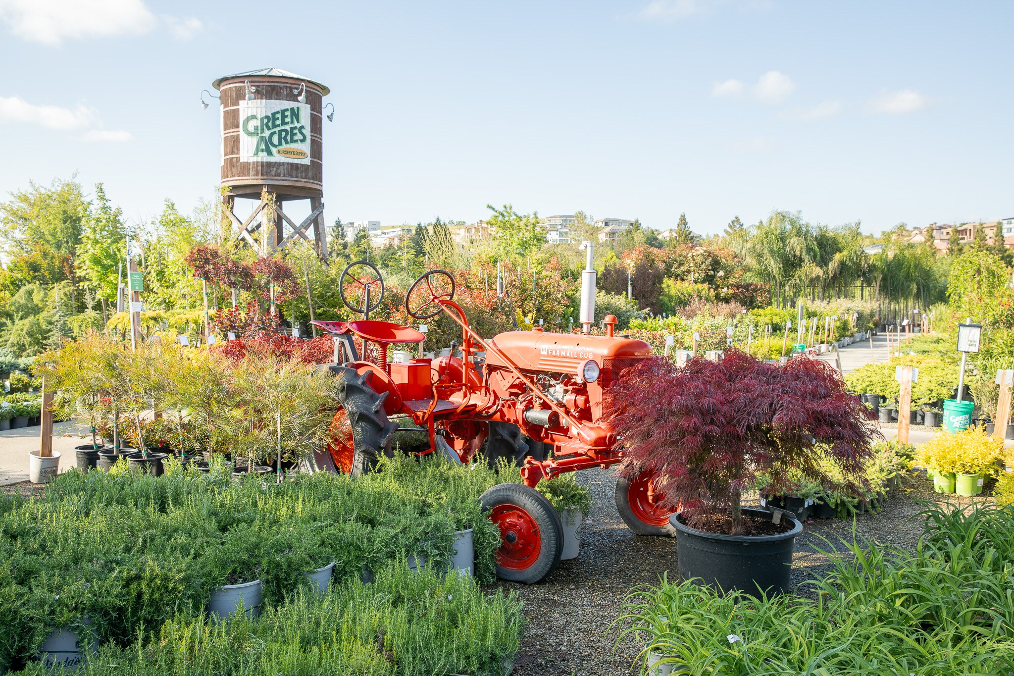 Red vintage tractor among lush plants at a garden center, with a water tower in the background