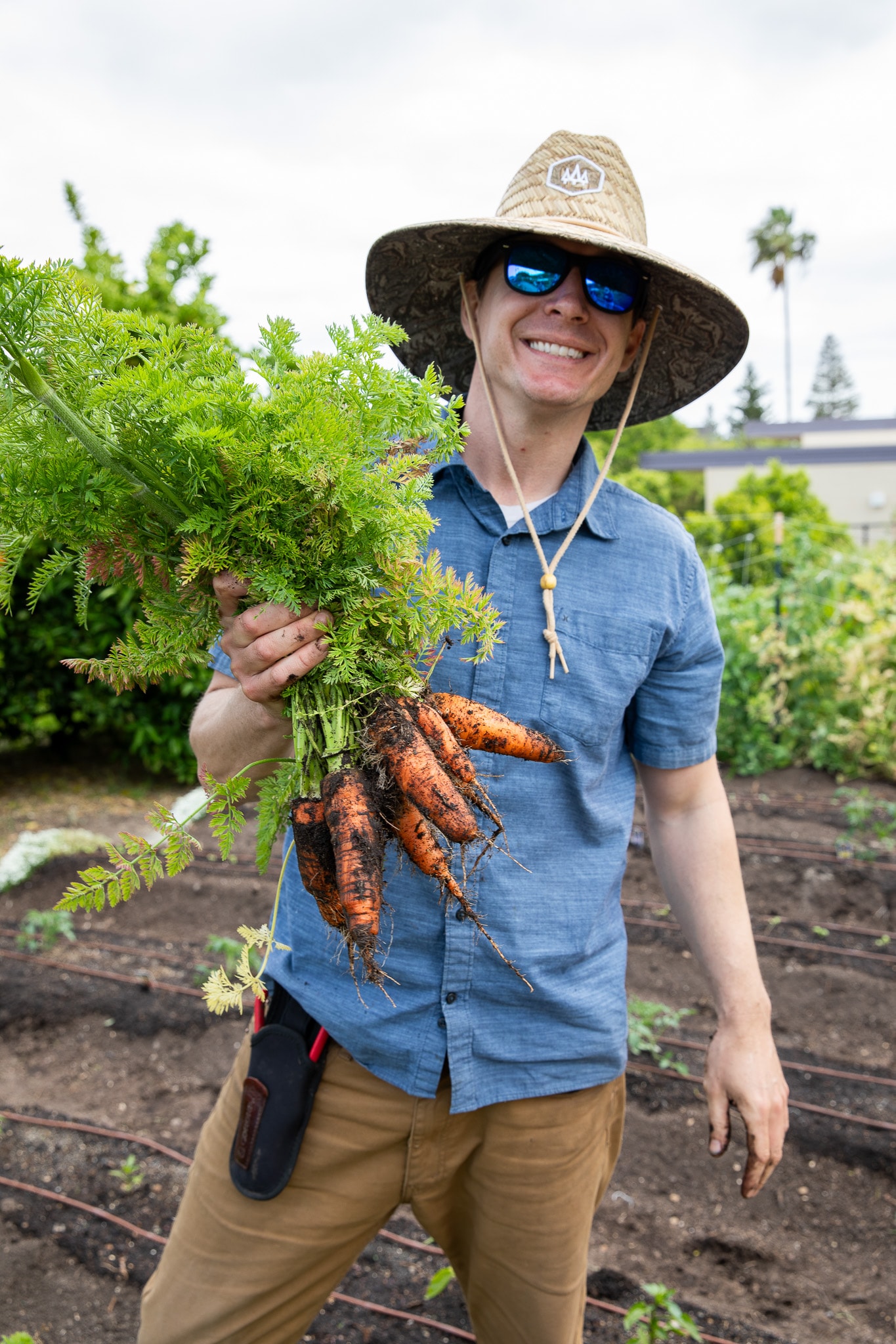 Man in a straw hat smiling, holding fresh carrots in a garden