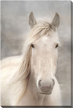 Portrait of a white horse with a soft, ethereal background