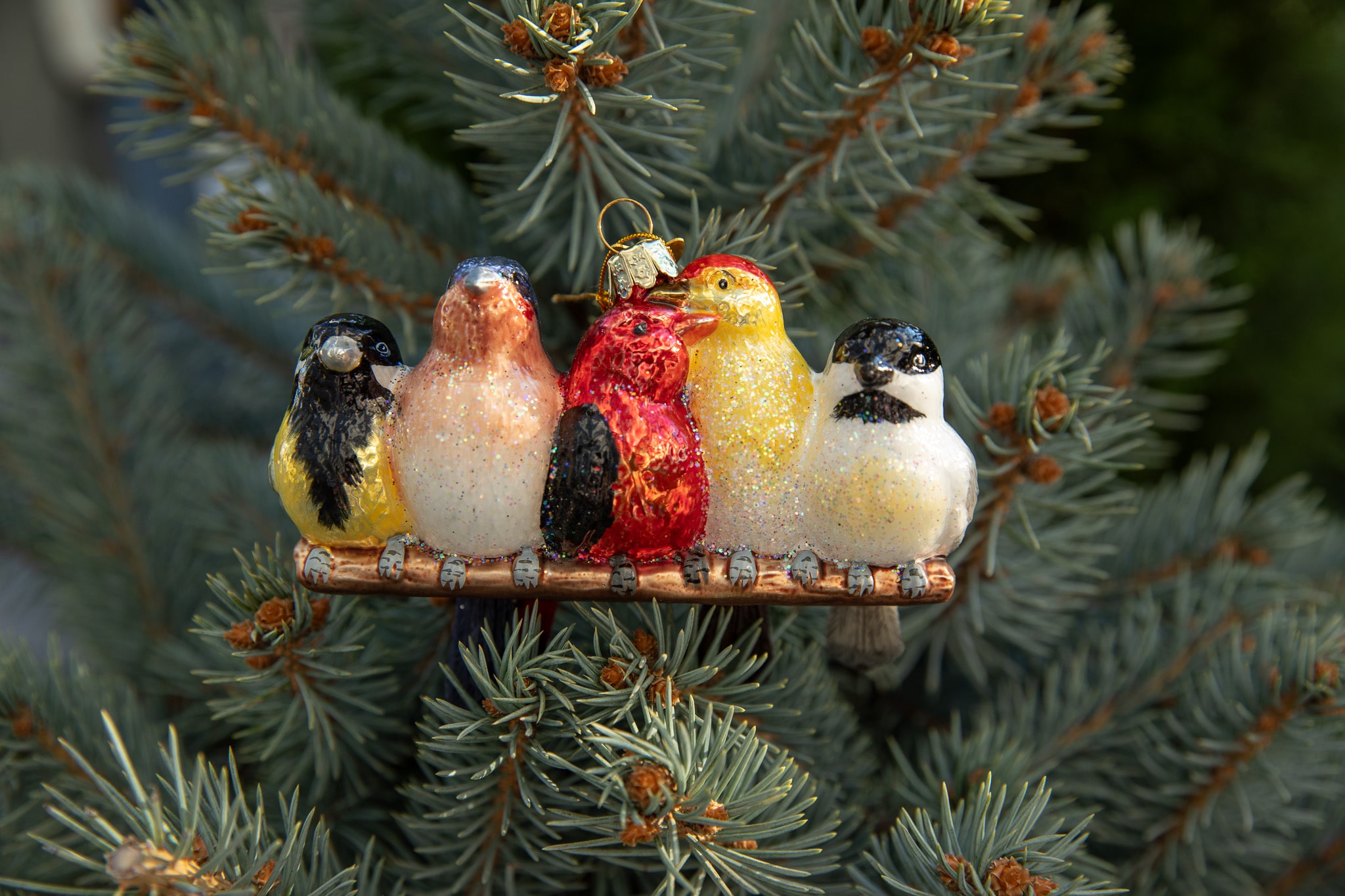 Ornament of four colorful birds on a perch, hung on a fir tree
