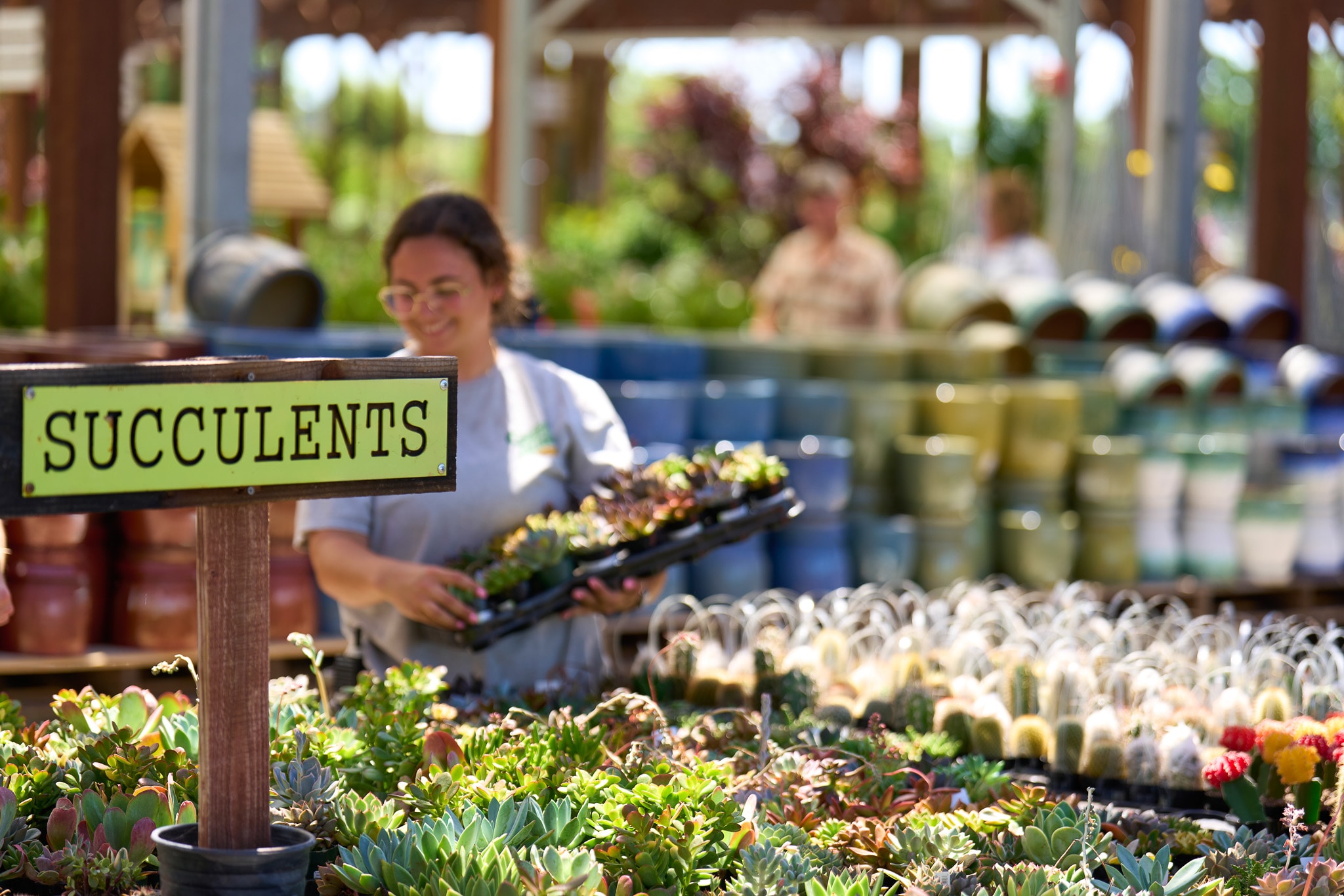 Woman tending succulents at a garden center