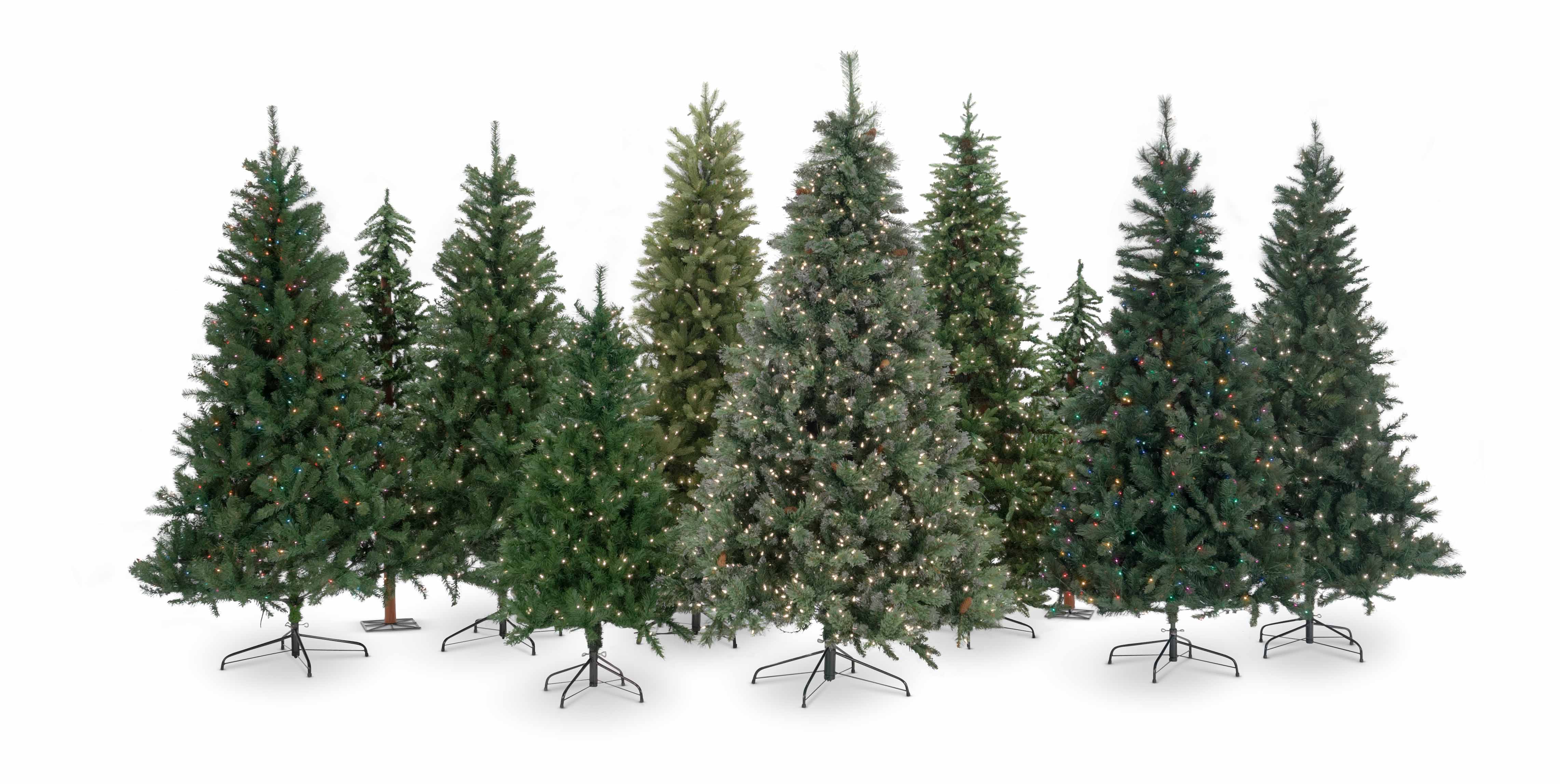 A row of various sized artificial Christmas trees on white background