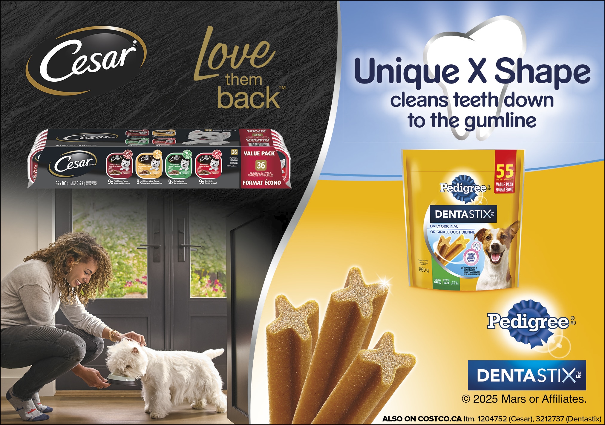 Ad for Pedigree Dentastix featuring a woman interacting with a dog, showcasing dog treats and dental benefits