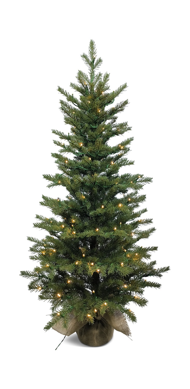 Unadorned Christmas tree with white lights on a plain background