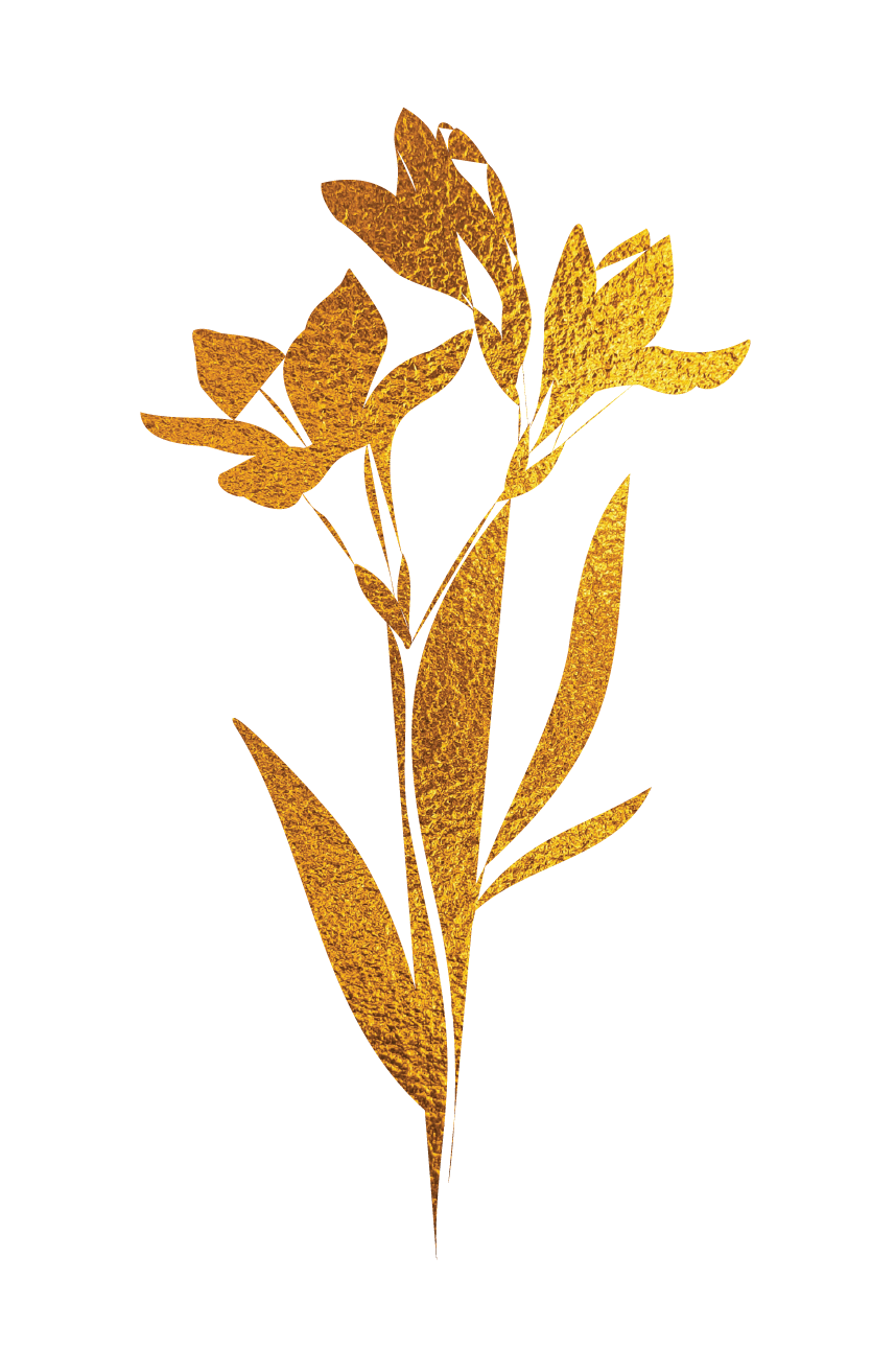 A textured gold illustration of a flower with leaves and stem on a transparent background