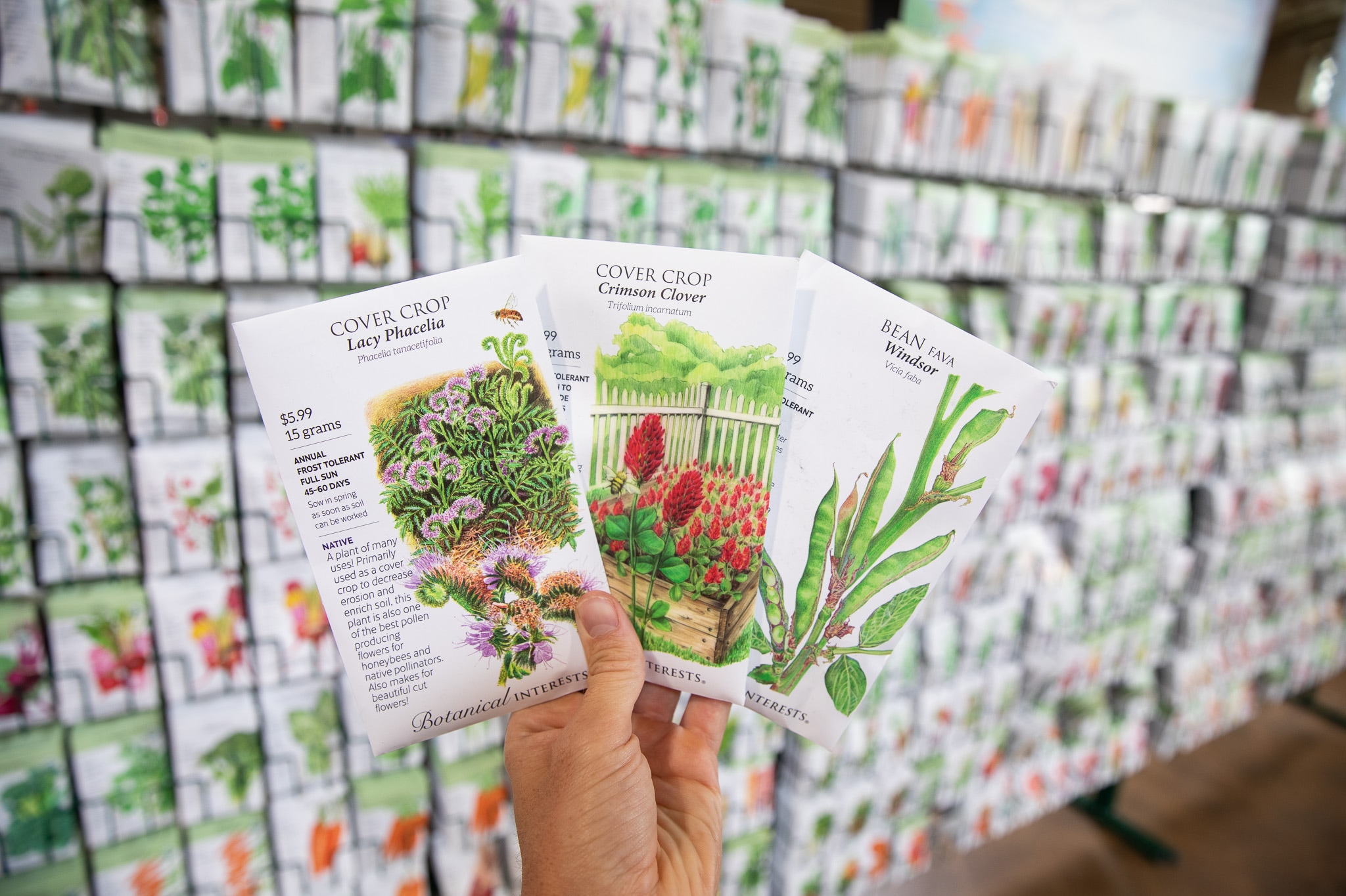 Hand holding seed packets in front of a display rack full of various seeds at a store