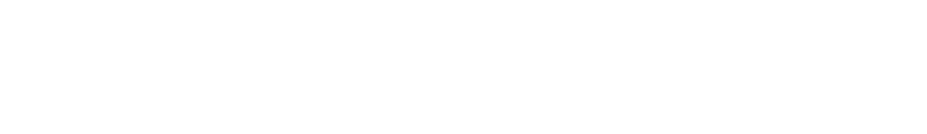 logo_fsa-optical_knockout.png