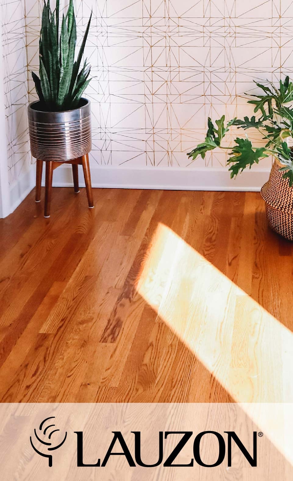 A sunlit hardwood floor with geometric wallpaper, a snake plant in a metal pot, and a smaller potted plant