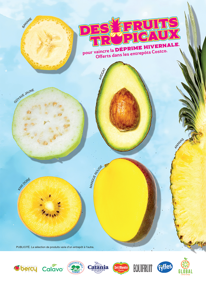 Publicité pour des fruits tropicaux avec divers fruits coupés en deux flottant sur un fond d'eau bleue
